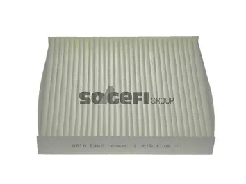 Filter, cabin air (E442)