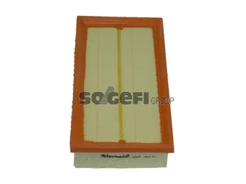 Air Filter (A2338)