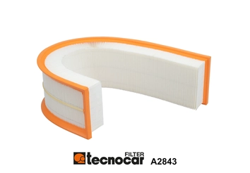 Air Filter (A2843)
