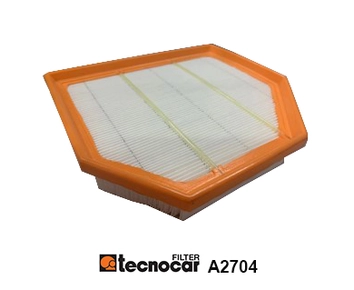 Air Filter (A2704)