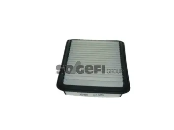 Air Filter (A2480)