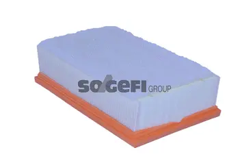 Air Filter (A2489)