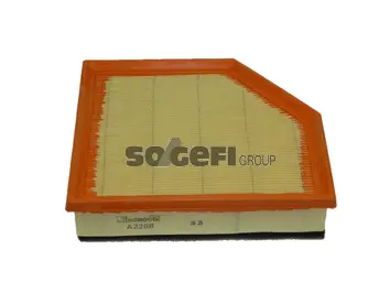 Air Filter (A2268)