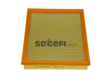 Air Filter (A2148)