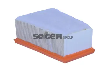 Air Filter (A2205)