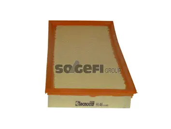 Air Filter (A146)