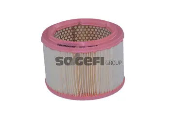 Air Filter (A222)