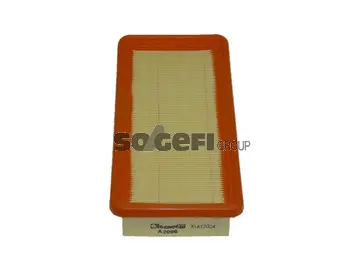 Air Filter (A2096)