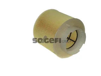 Air Filter (A2201)