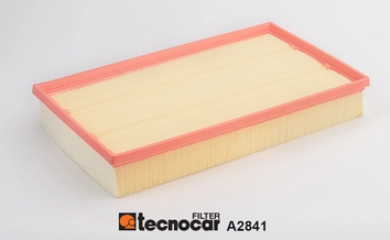 Air Filter (A2841)