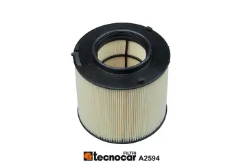 Air Filter (A2594)