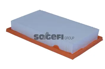 Air Filter (A2521)