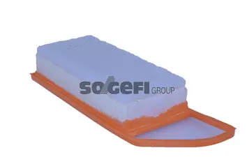 Air Filter (A2210)