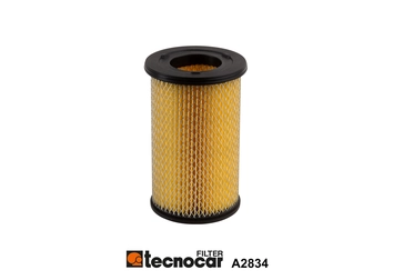 Air Filter (A2834)