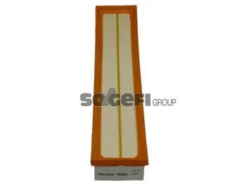 Air Filter (A2321)