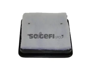 Air Filter (A2235)