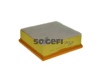 Air Filter (A2444)