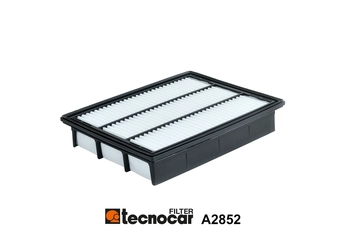 Air Filter (A2852)