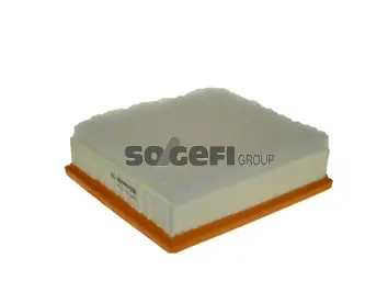Air Filter (A2462)