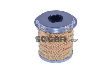 Fuel Filter (N300)