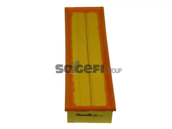 Air Filter (A360)