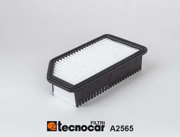 Air Filter (A2565)