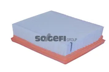 Air Filter (A2233)