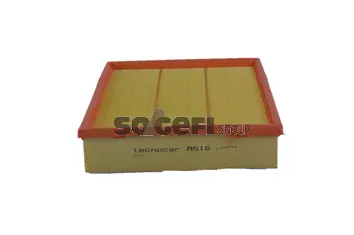 Air Filter (A616)