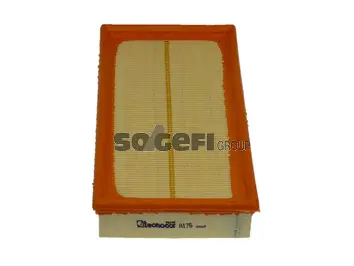 Air Filter (A176)