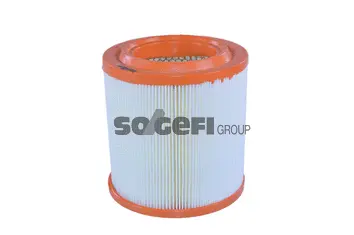 Air Filter (A839)