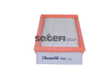 Air Filter (A685)