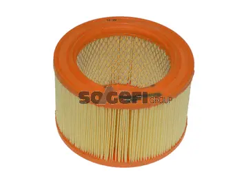 Air Filter (A165)