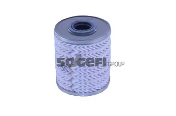 Fuel Filter (N606)