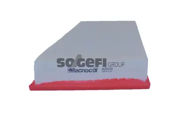 Air Filter (A2029)