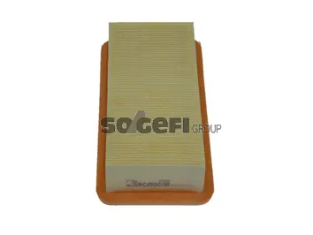 Air Filter (A2313)