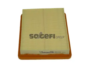 Air Filter (A2129)