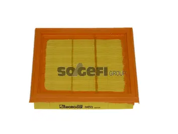 Air Filter (A459)