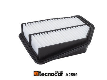 Air Filter (A2599)