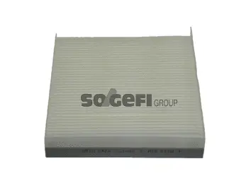 Filter, cabin air (E446)