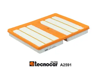 Air Filter (A2591)