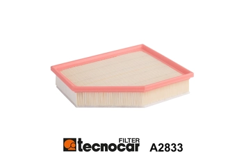 Air Filter (A2833)
