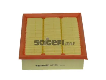 Air Filter (A2183)