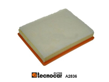 Air Filter (A2836)