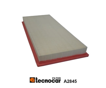 Air Filter (A2845)