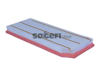 Air Filter (A2225)