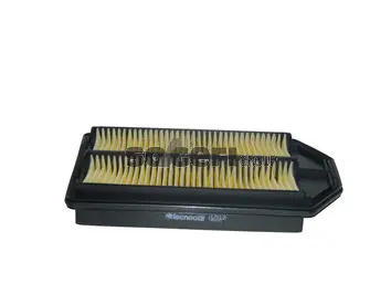 Air Filter (A2510)