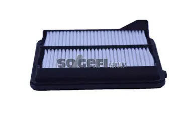 Air Filter (A2434)