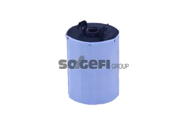 Fuel Filter (N311A)