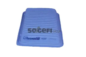 Air Filter (A2287)