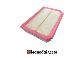 Air Filter (A2650)